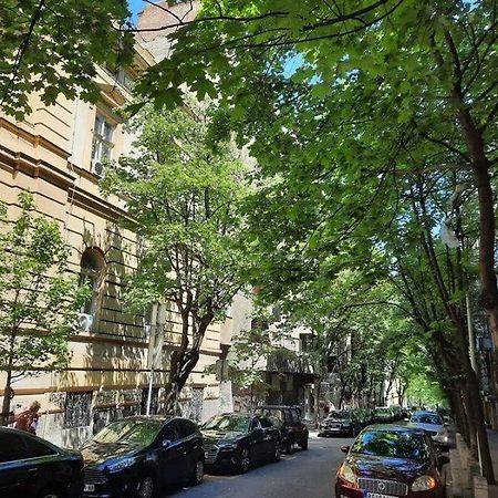 Apartment 51 - Bright, Spacious, Lux 1 Bedroom In The City Center - Stari Grad Belgrade Extérieur photo