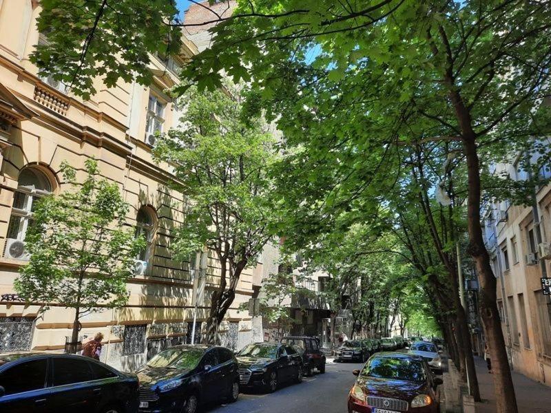 Apartment 51 - Bright, Spacious, Lux 1 Bedroom In The City Center - Stari Grad Belgrade Extérieur photo