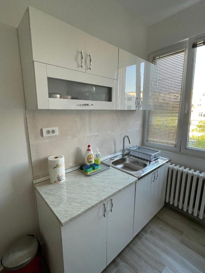 Apartment 51 - Bright, Spacious, Lux 1 Bedroom In The City Center - Stari Grad Belgrade Extérieur photo